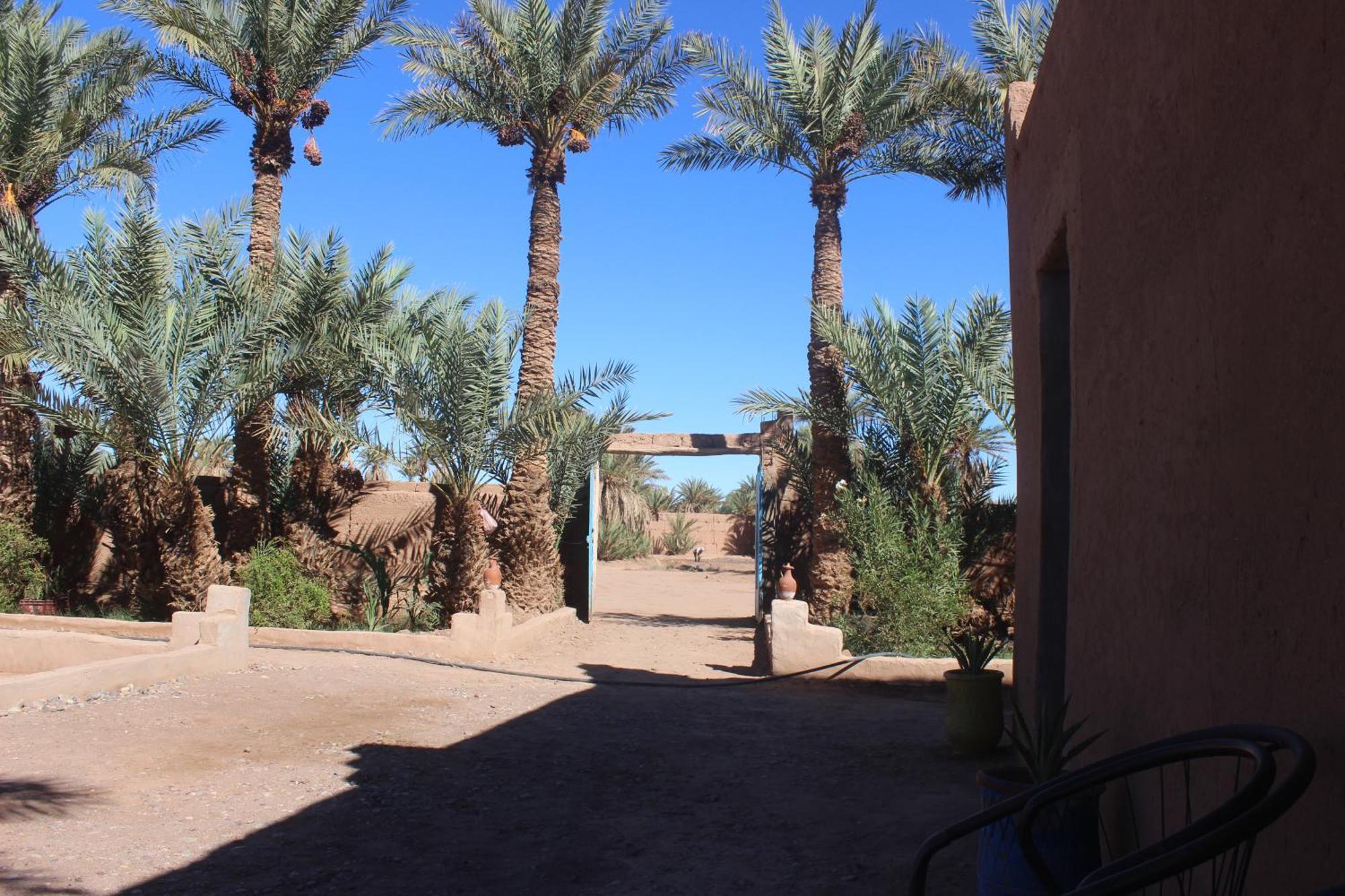 Kasbah Desert Camp M'Hamid El Ghizlane Extérieur photo